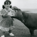 Linda Ferry “Pepper” with April the pygmy hippo, with Gandey’s Circus, Tynemouth 1984, NCJMedia photo